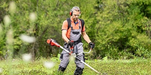 New biz i Stock 1690992901