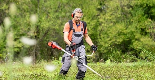 New biz i Stock 1690992901